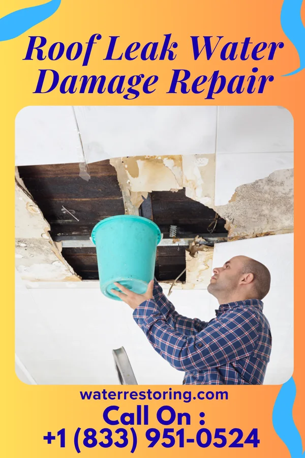 Roof Leak Water Damage Repair in Belk, AL